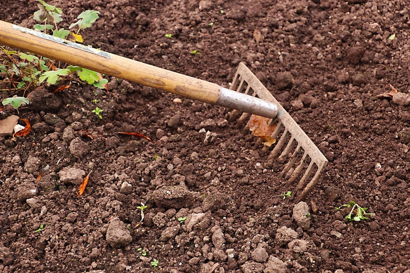 Gardening Image