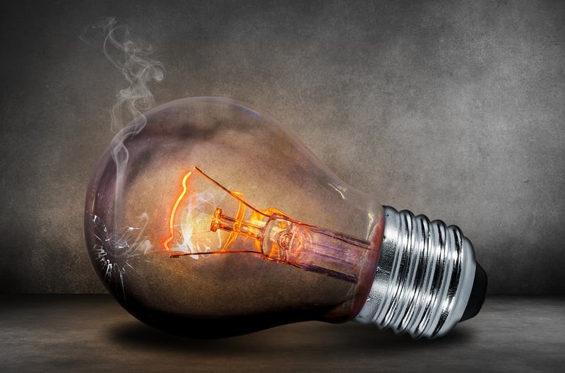 Terrarium in a Light Bulb